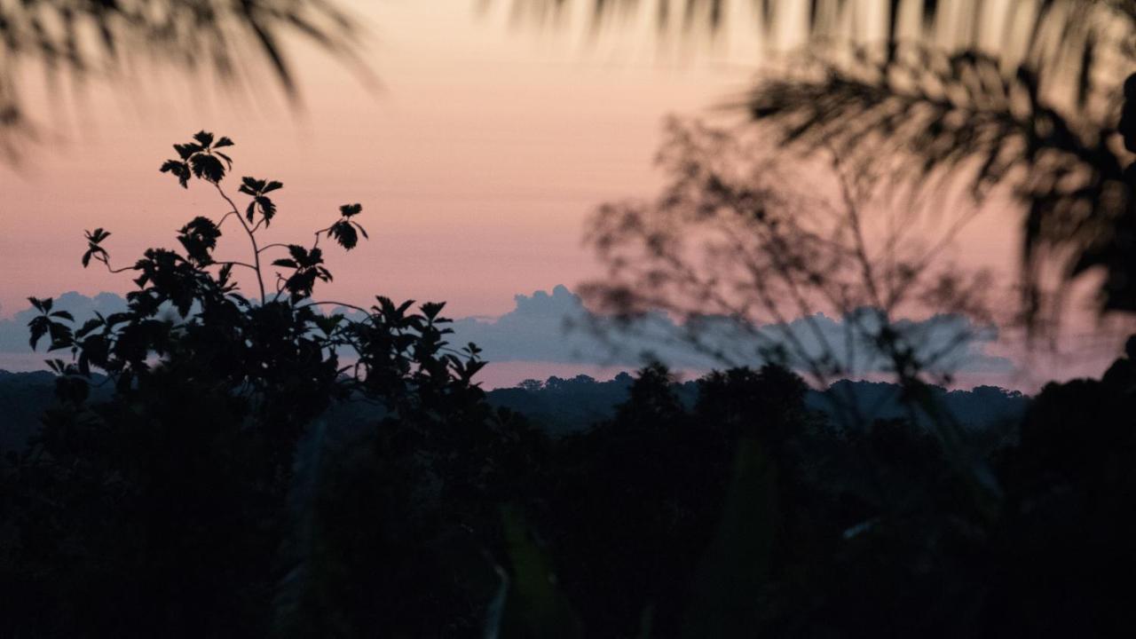 Pacaya Samiria Amazon Lodge Nauta Exteriér fotografie