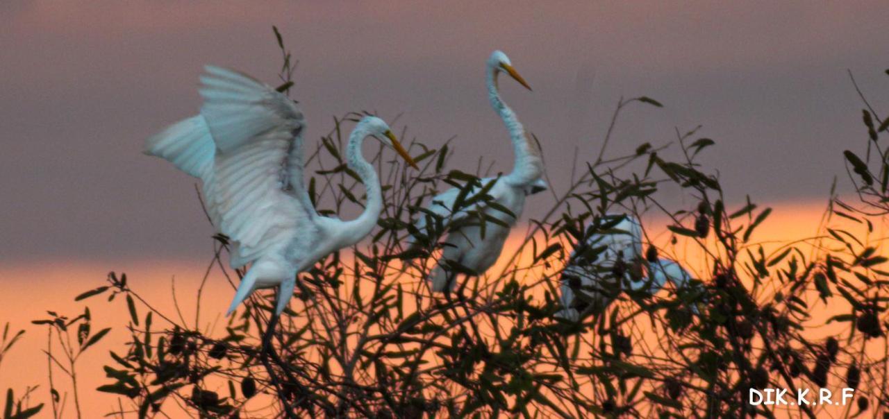 Pacaya Samiria Amazon Lodge Nauta Exteriér fotografie